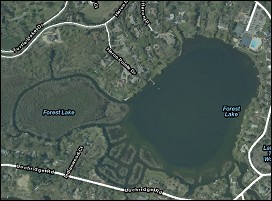 Forest Lake arial image