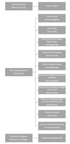 Organization Chart 2
