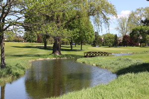 Pond On Golf Course