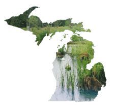 State of Michigan Wetland