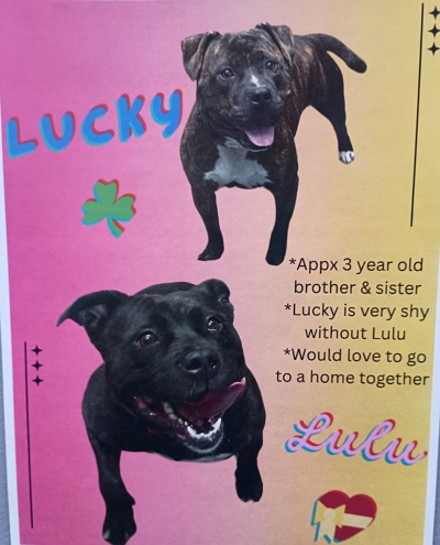 Lucky and Lulu