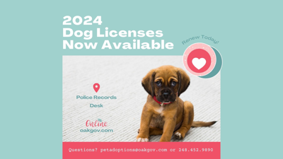 2024 Dog Licenses Now Available