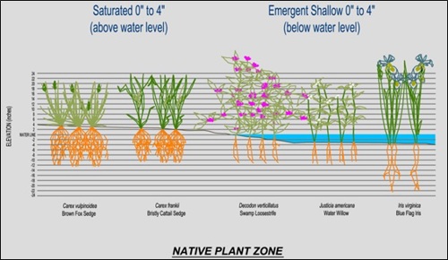Native Plant Zone Planting Map